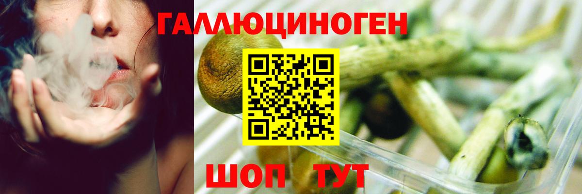 магазин продажи   Галлюциногенные грибы Cubensis  Галлюциногенные грибы GOLDEN TEACHER  Вход с VPN  Тольятти 